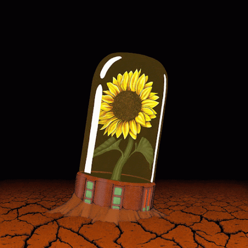 Einvigi : Monokroma (Single)